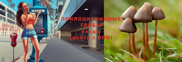 2c-b Гусиноозёрск