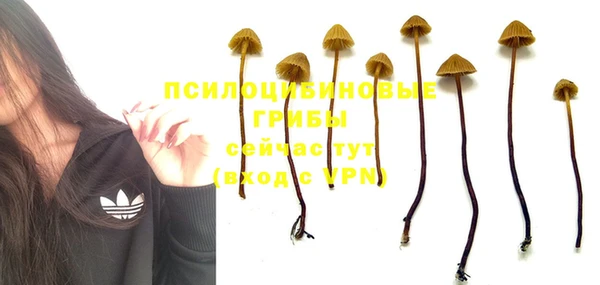 дистиллят марихуана Горнозаводск
