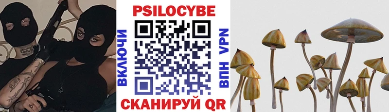 Псилоцибиновые грибы мицелий  Озёрск 